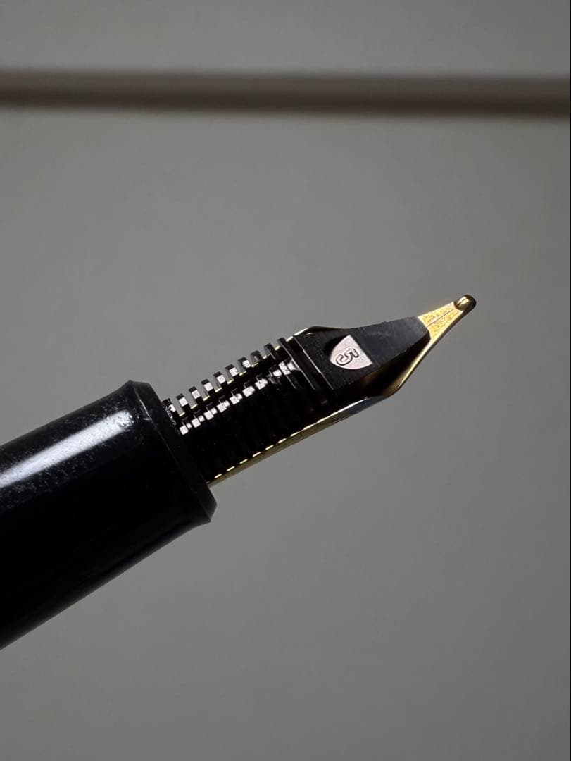 特殊な？万年筆４本セット モンテヴェルデ　オムニフレックス　長刃ペン先　ほか