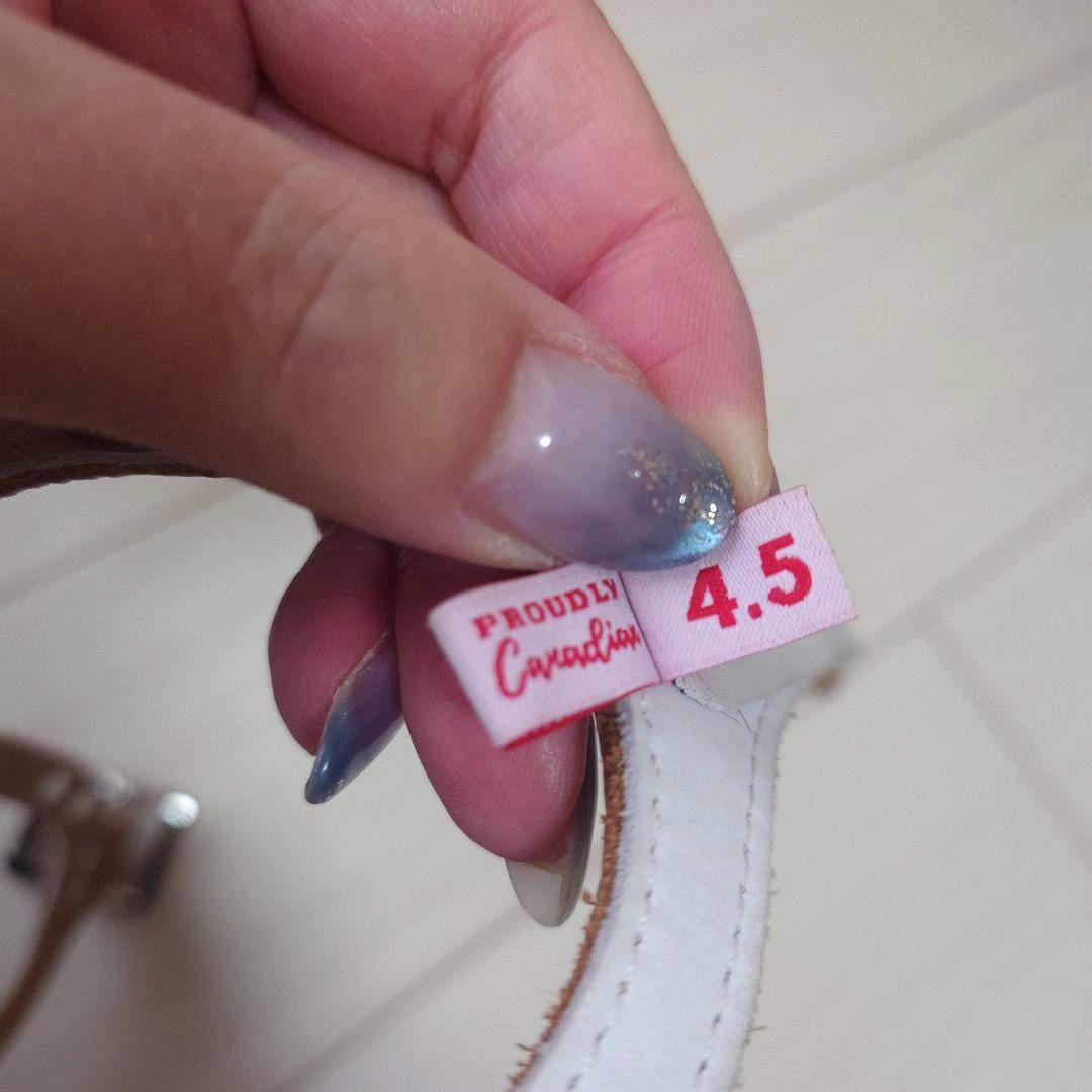 875☆ＢＢベルト バディーベルト 4.5号 キャラメル カスタマイズ