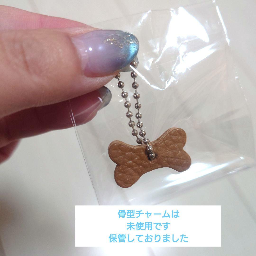 875☆ＢＢベルト バディーベルト 4.5号 キャラメル カスタマイズ