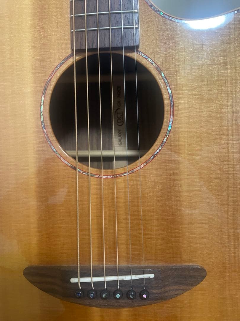 エレアコギター　DCT ＧＲ742CE