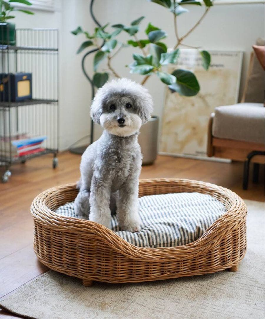 【新品】Journal Standard Furniture ペットベッド