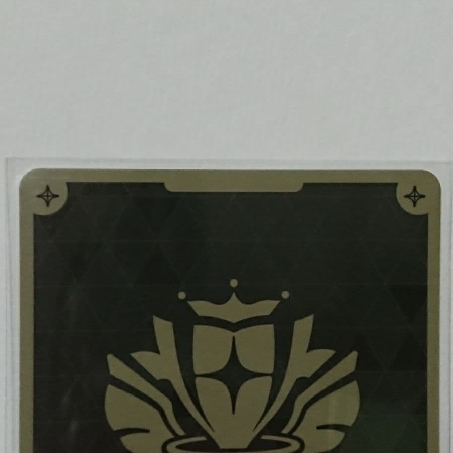 ホロカ 星街すいせい ブルームカップ プロモ