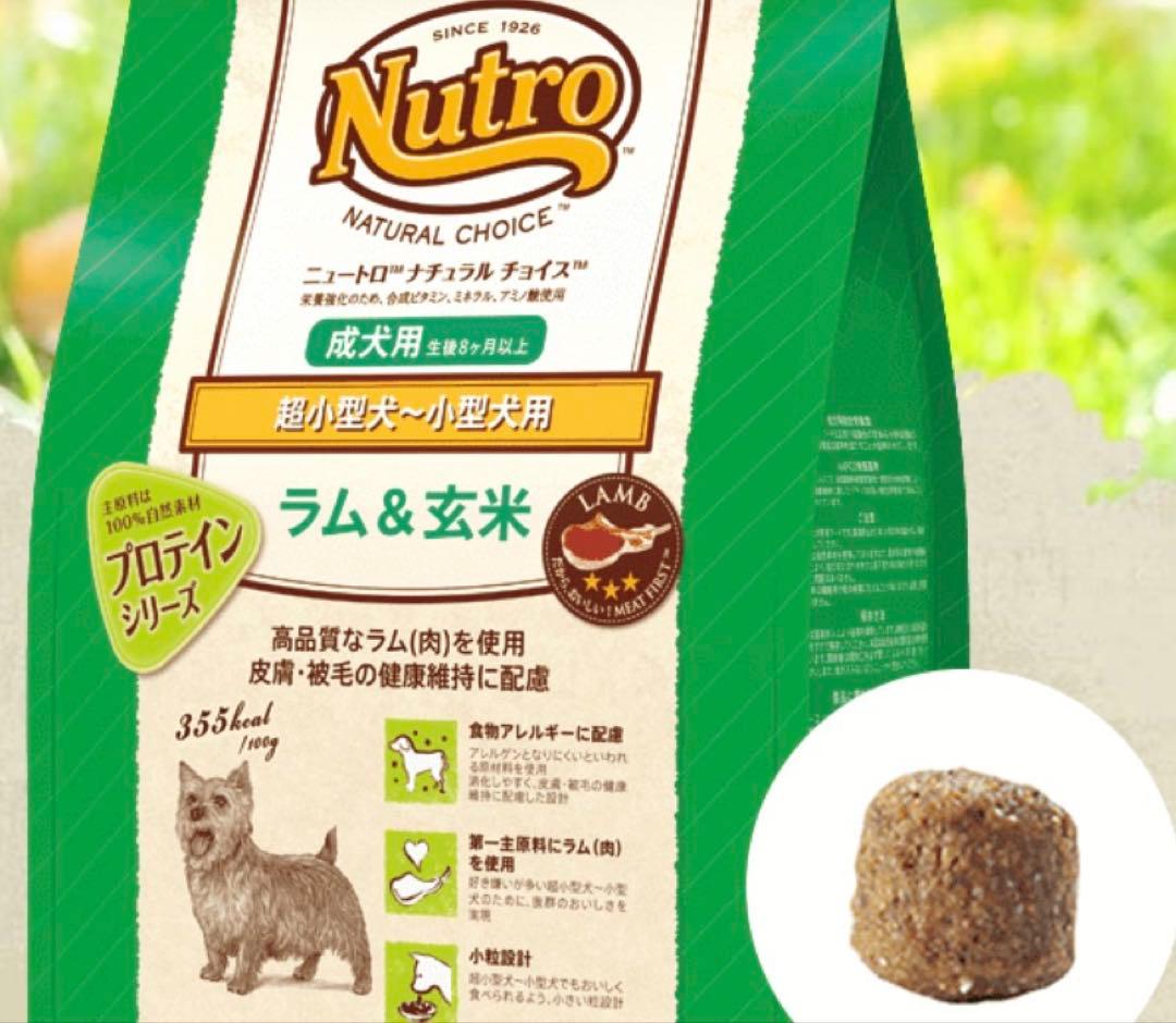 Nutro ラム&玄米 超小型犬〜小型犬用