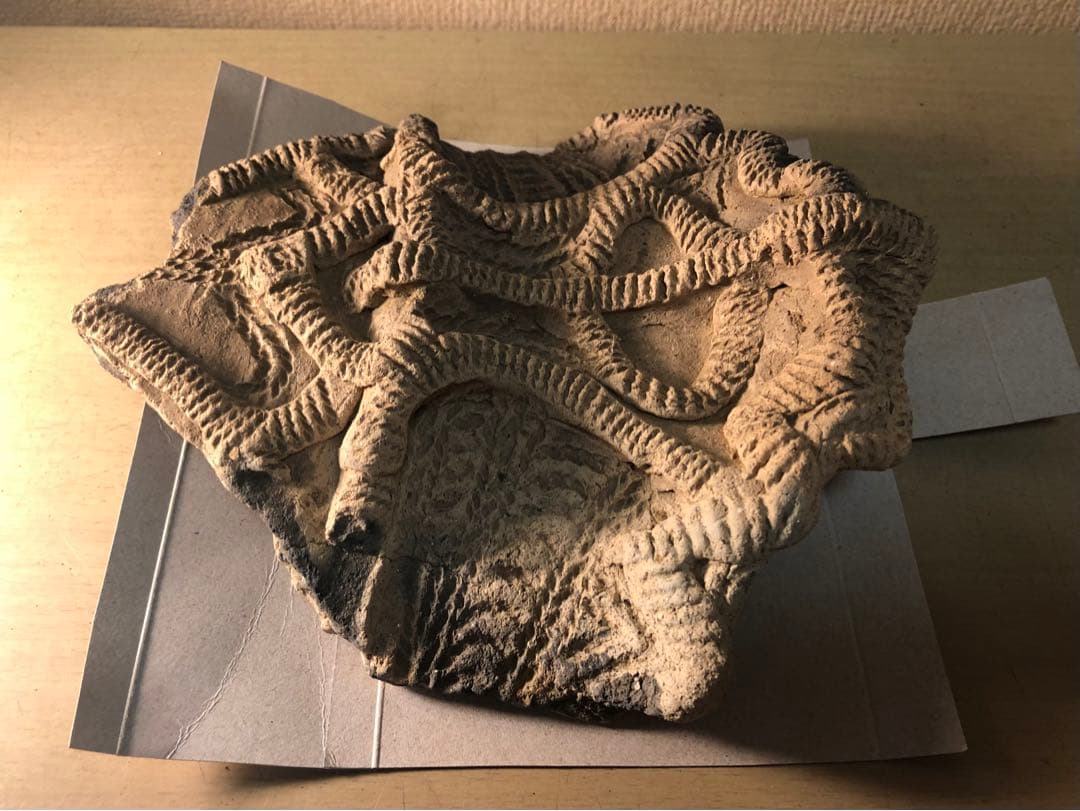 「土器の欠片 縁の部分 No.697」です。