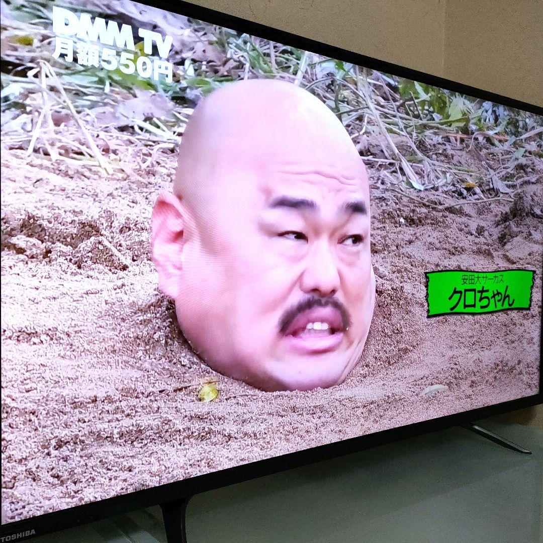 TOSHIBA[2018年製品]49C310X