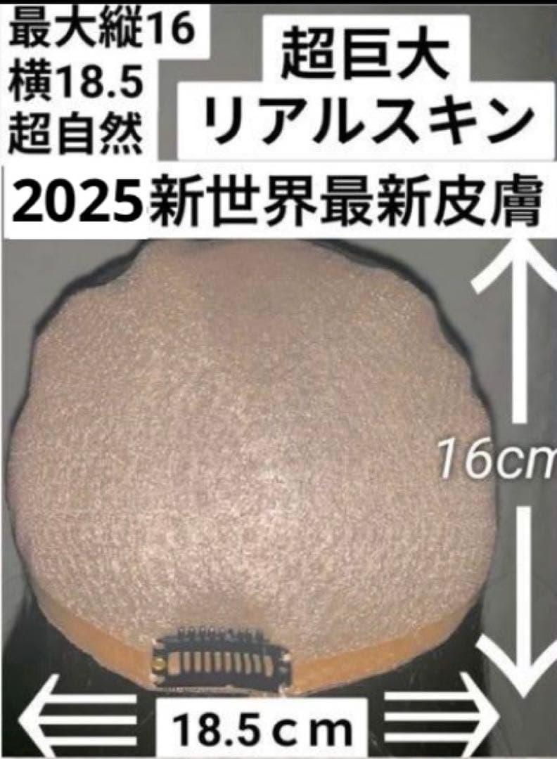 2025新世界　人毛100%　フルウィッグ　シルクスキン　医療ウィッグ　ブラック