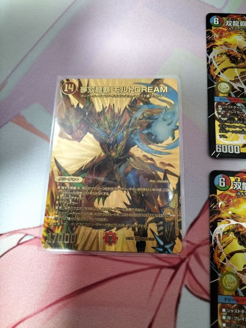 モルトDREAMシク＋モルトVERSUS４枚セット