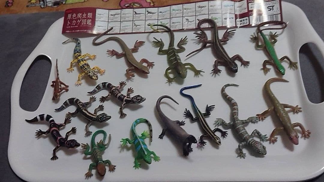 原色爬虫類トカゲ 図鑑　24体セット