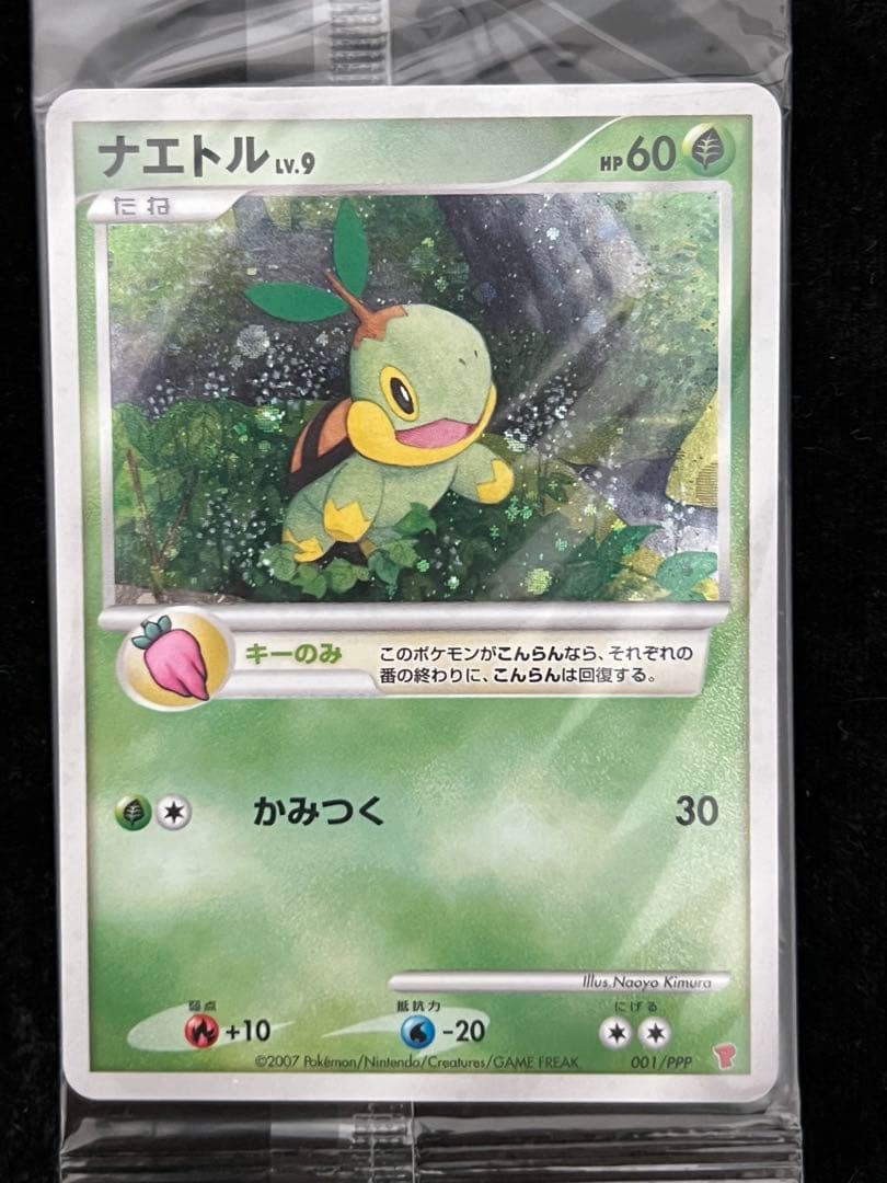 ポケモンカード　プレイヤーズ DP　プロモ　PPP コンプ　未開封　ダークライ