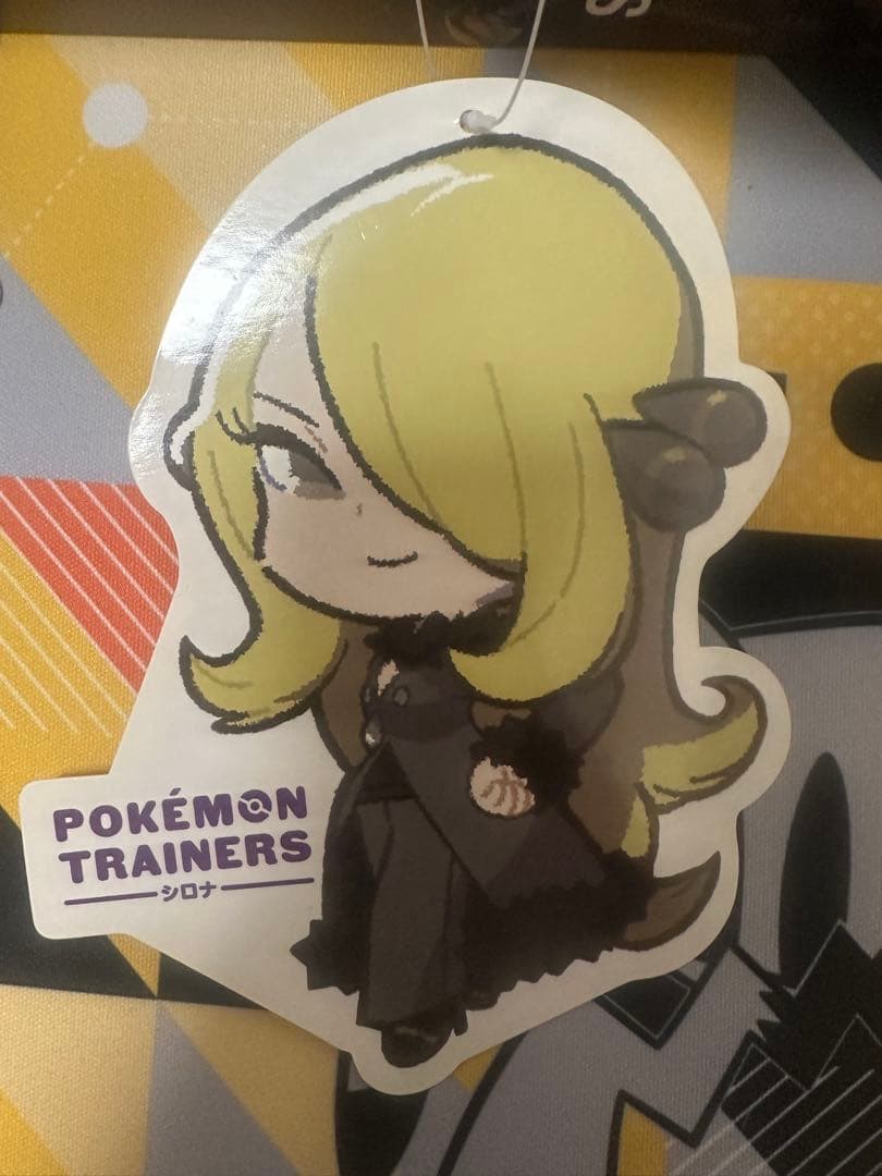 【タグ付き】【ポケモン】 シロナ ダイゴ ぬいぐるみ2体セット