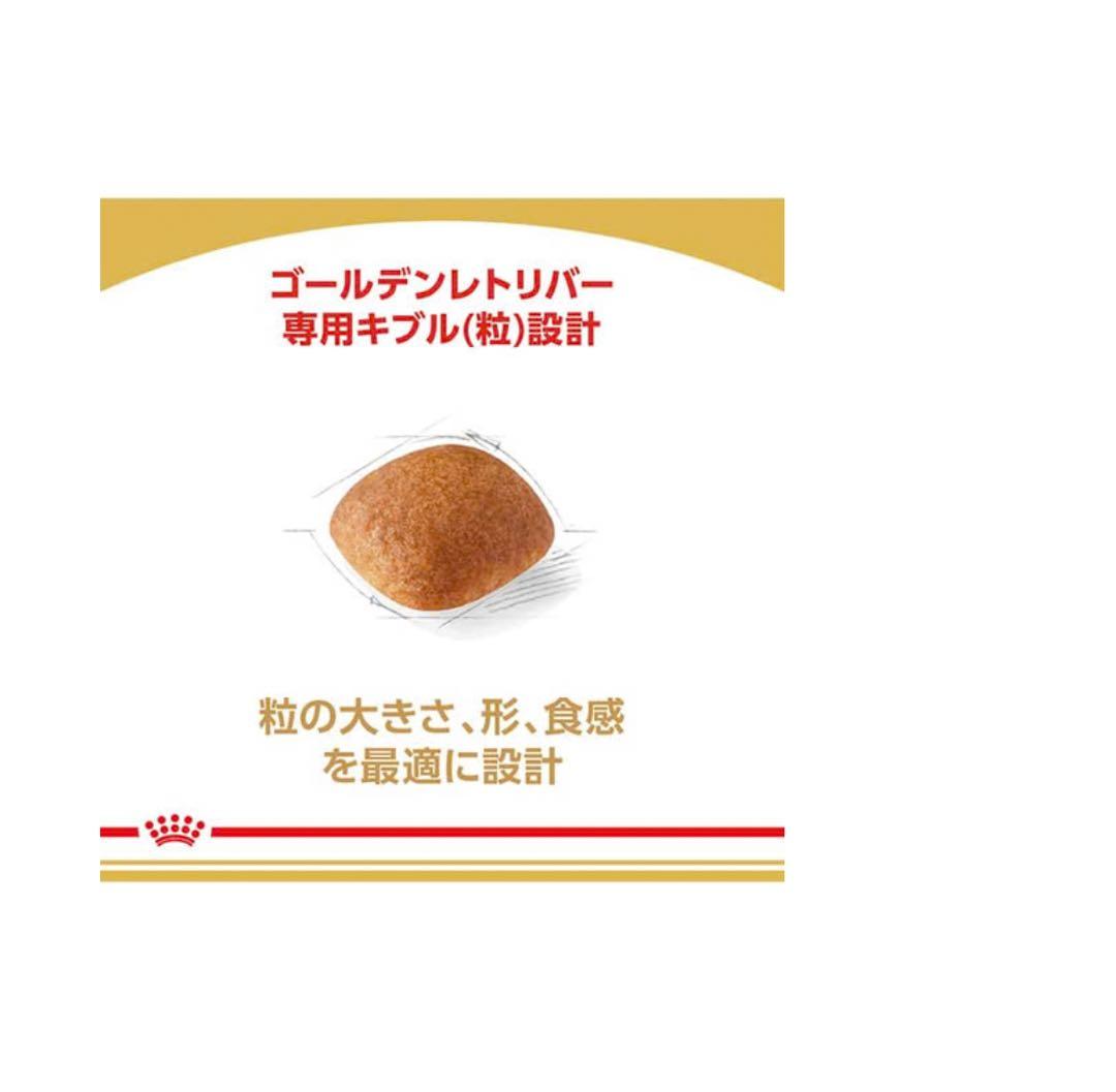  CANIN ゴールデンレトリバー 12kg