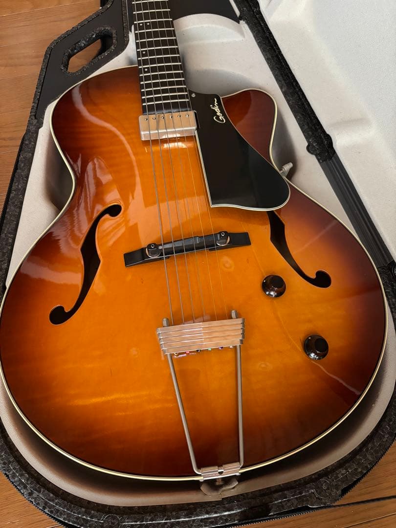 ゴダン Godin 5th Avenue Jazz 希少フルアコギター