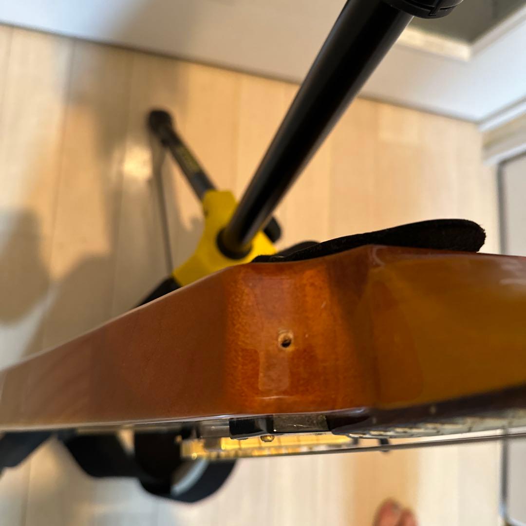 Epiphone コリーナV