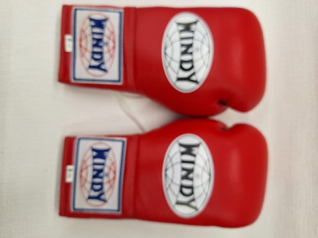 WINDY 赤 ボクシンググローブ 8oz 紐タイプ