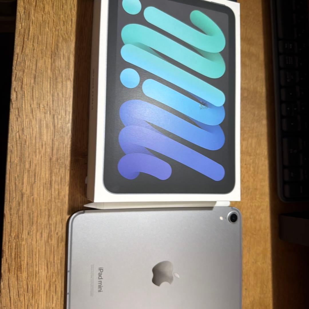 iPad mini 7シルバー + ブラックカバー