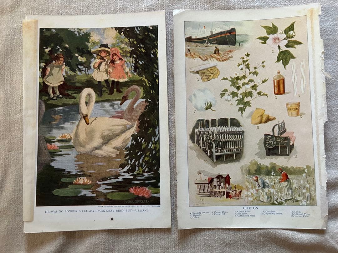 アンティーク花フルーツリトグラフ紙ものまとめ売りジャンクジャーナル素材蚤の市洋書