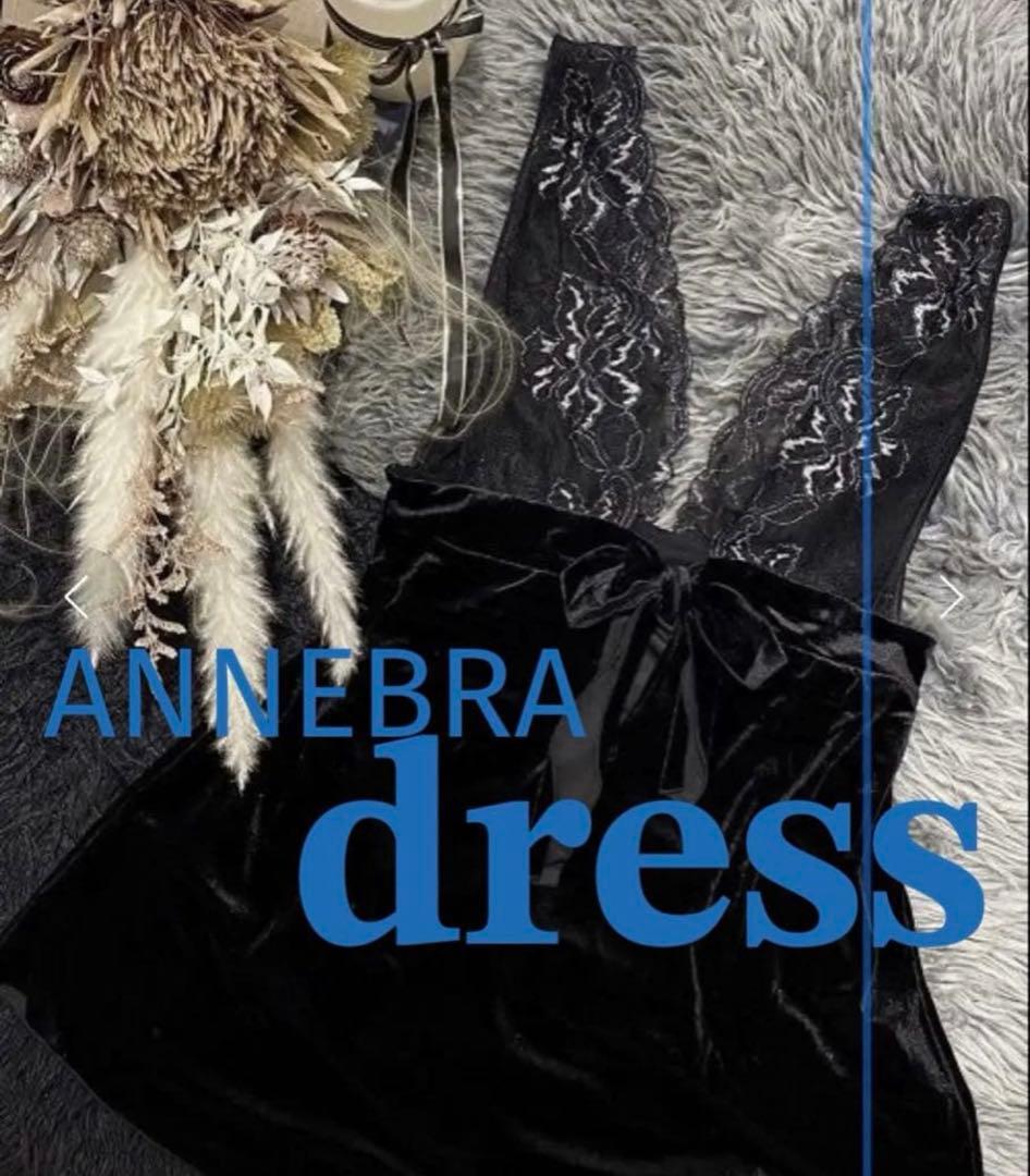 仮専用ANNEBRA Velvetおまとめ