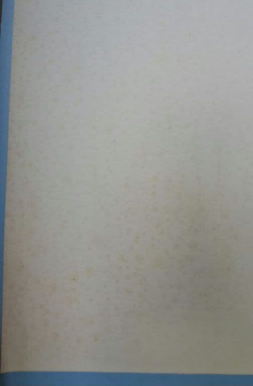 ビートたけし FICCE 特大ポスター