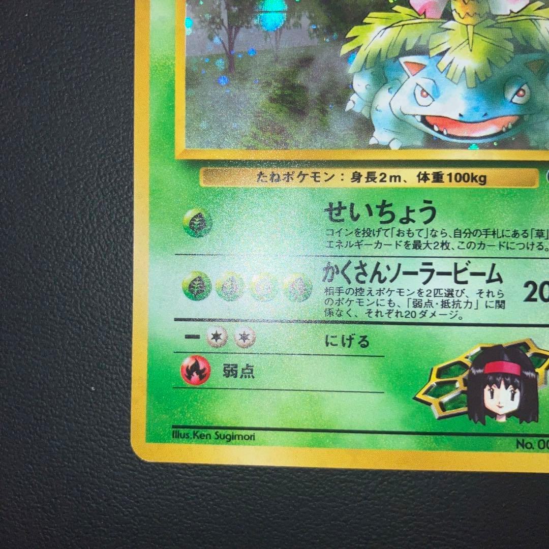 美品　旧裏　エリカのフシギバナ　キラ　ホロ