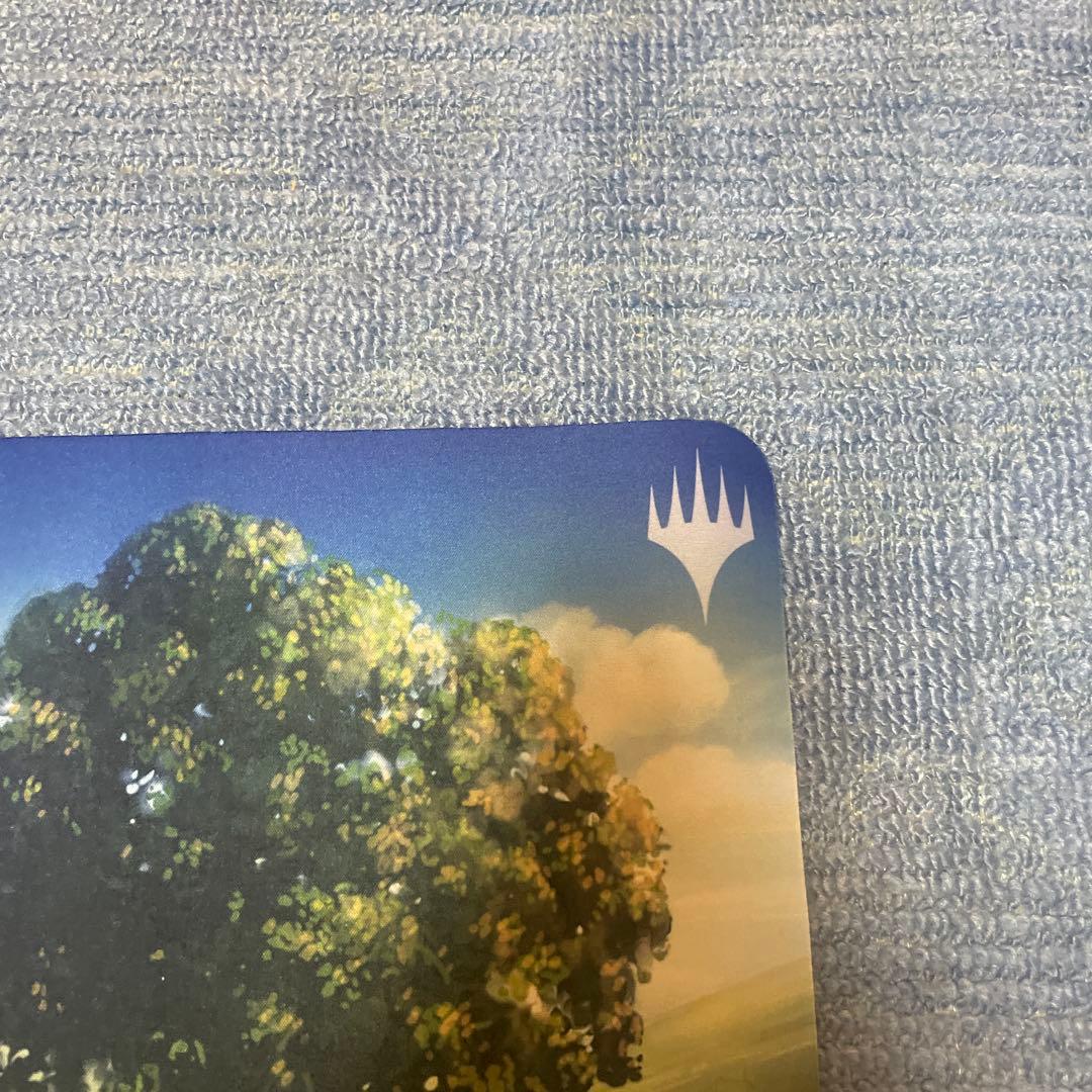 MTG 平地 John Avon サイン入り プレイマット