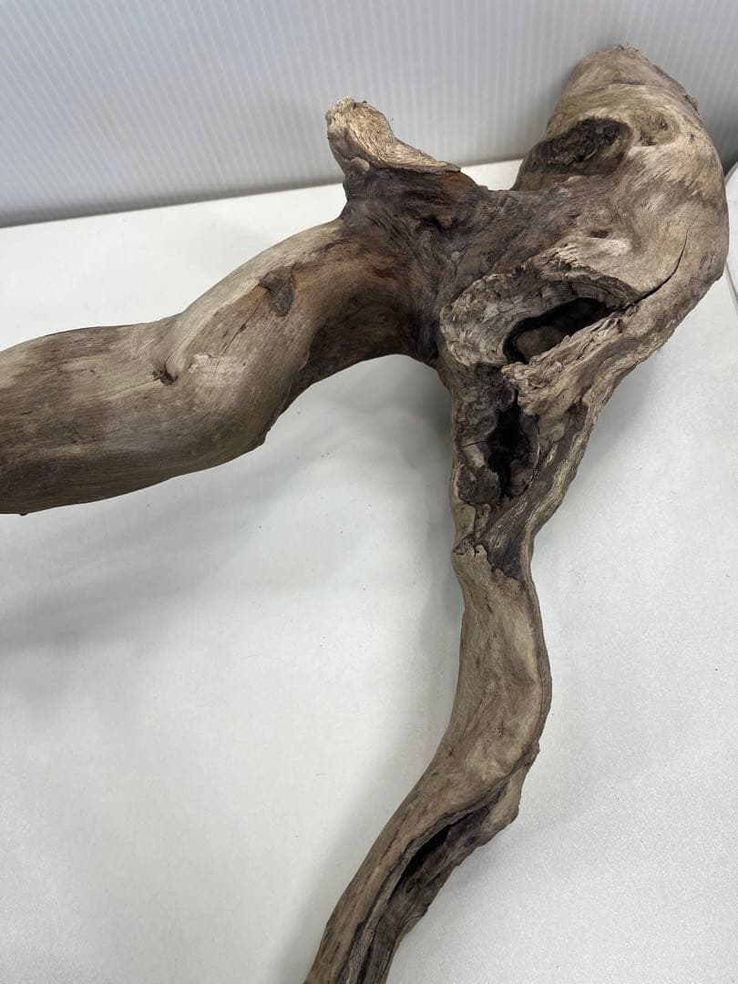 k36特大流木 アク抜き済み 爬虫類シェルター レイアウト用 登り木 インテリア