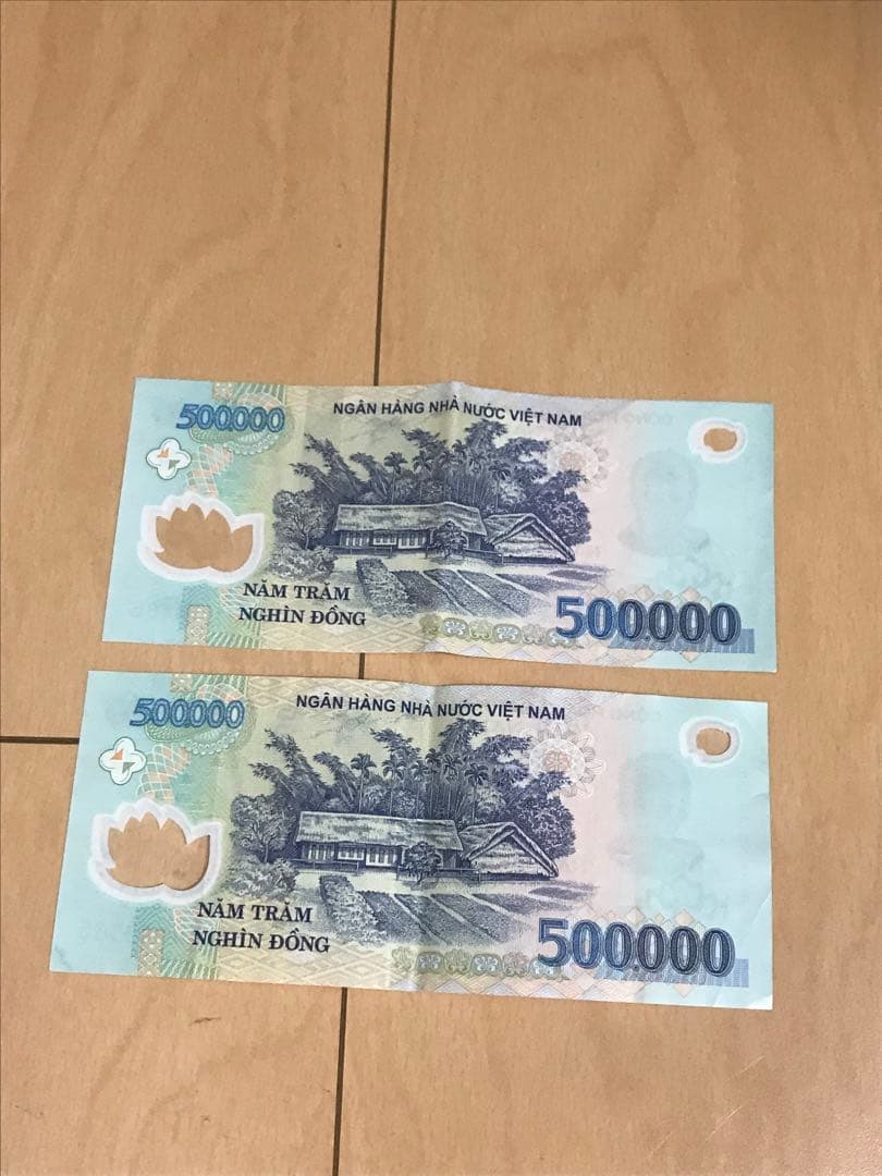 ベトナムドン ベトナム紙幣　ベトナムお金　50万ドン
