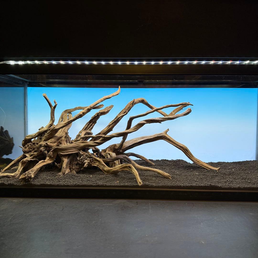 MSRW-6927 天然流木レイアウトセット　スリムウッド　アクアリウム