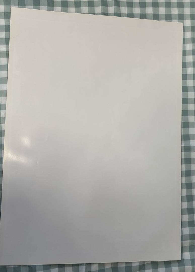 貴重・レア　ストリートファイター　コレクション　販促用　ポスター