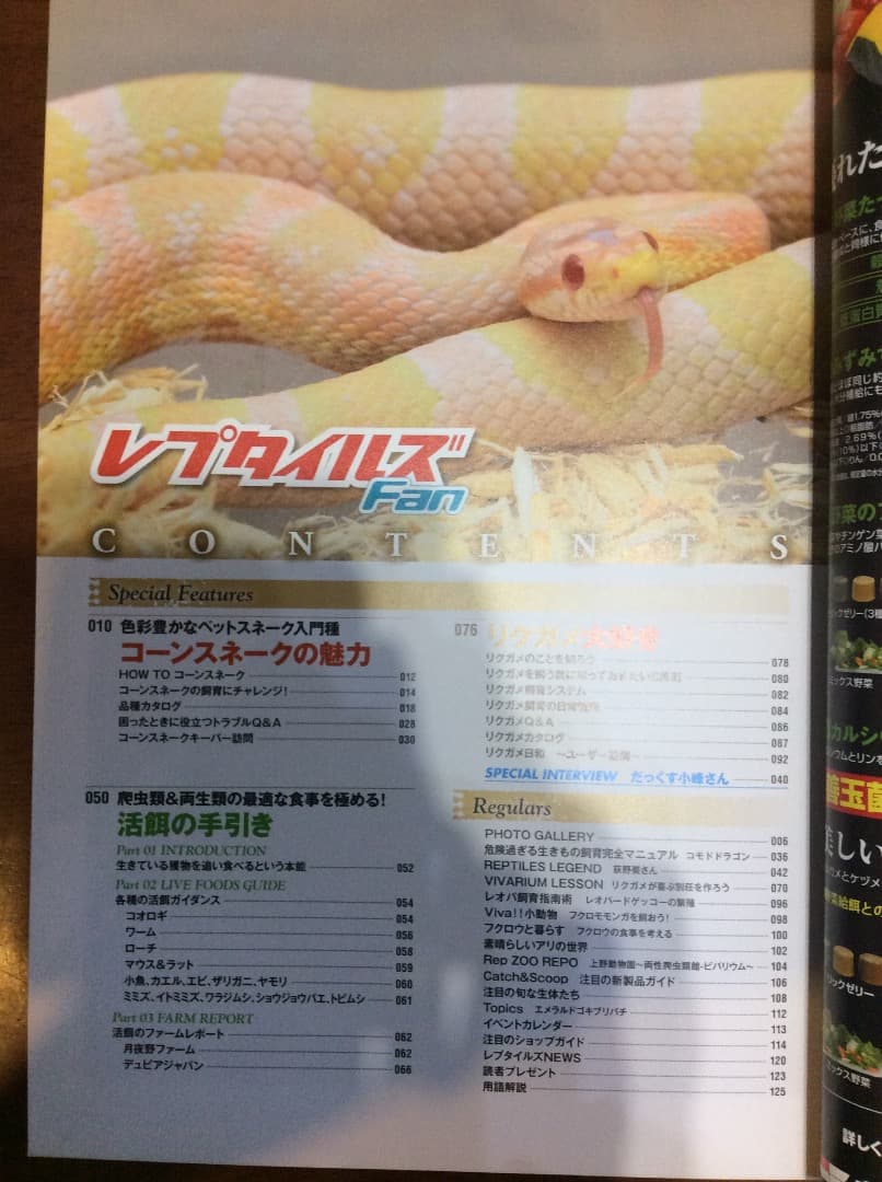 レプタイルズ Fan Vol.1〜5 全5冊 まとめ売り コスミック出版