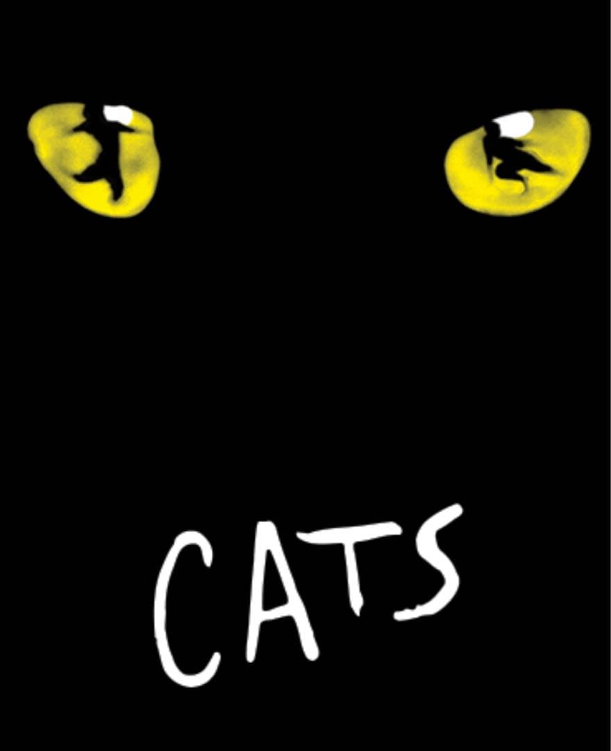 ☆Cats☆ NY ブロードウェイミュージカル　キャッツ　立体フレーム　レア品