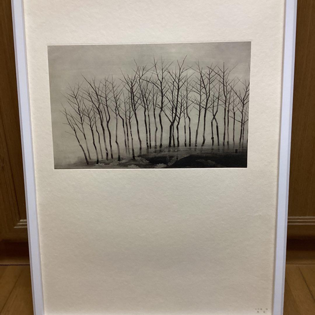 天才画家　速水御舟　作品集大作編　便利堂監修　画集NO 34 【寒　林】