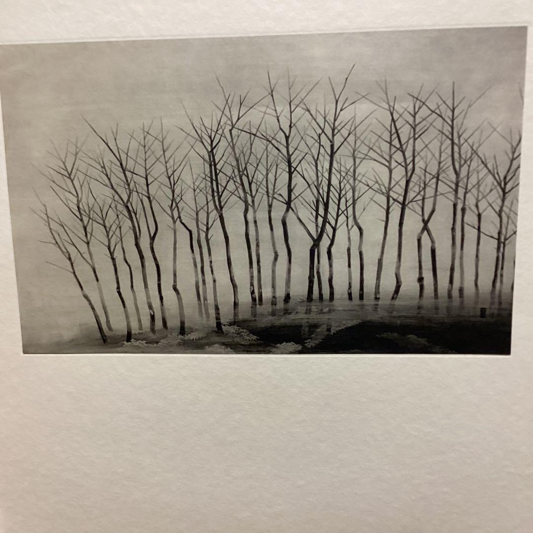 天才画家　速水御舟　作品集大作編　便利堂監修　画集NO 34 【寒　林】