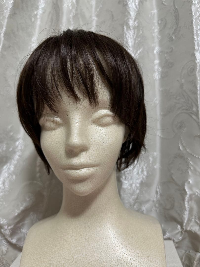 ウィッグ　ジュリア.オージェ