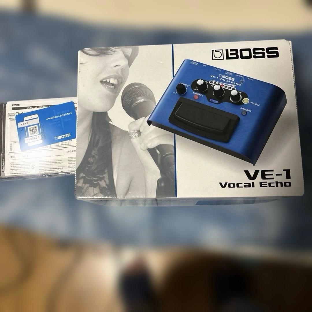 その他 BOSS VE-1 Vocal Echo