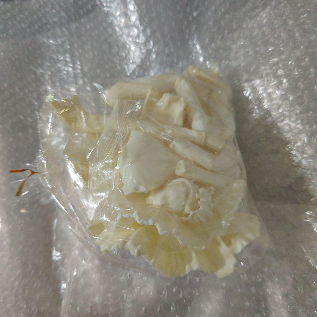 美少女戦士セーラームーン　月野うさぎ　タキシード仮面　ガレージキット　未組立