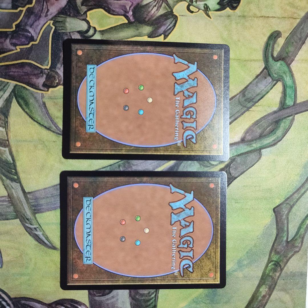 MTG 帳簿裂き　セトブ　MTG