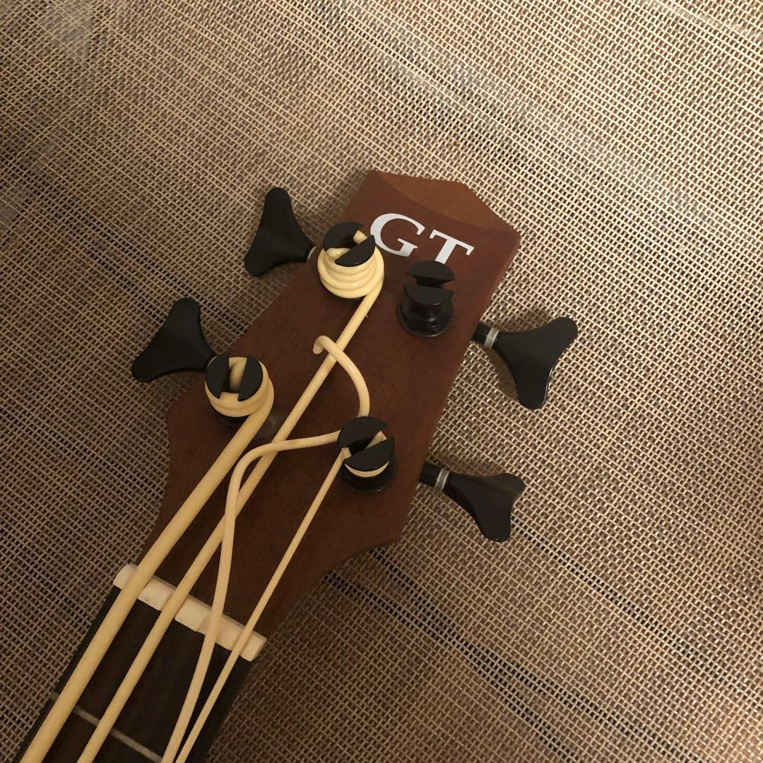 【ころぽっくる 】Gold Tone M-Bass マイクロベース