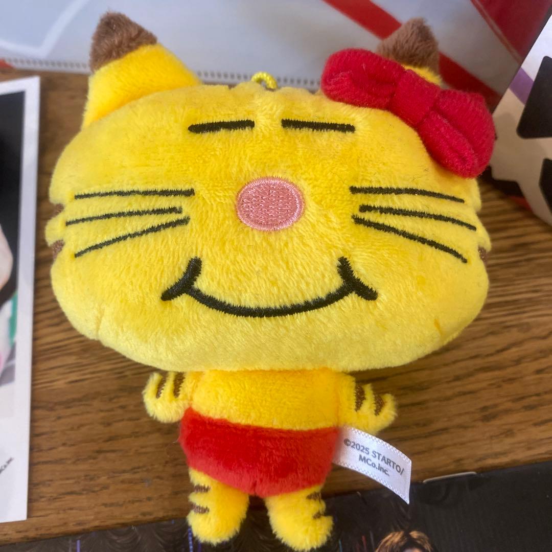 NEWS　増田貴久　ネコます 変身　JAPANEWS 写真集