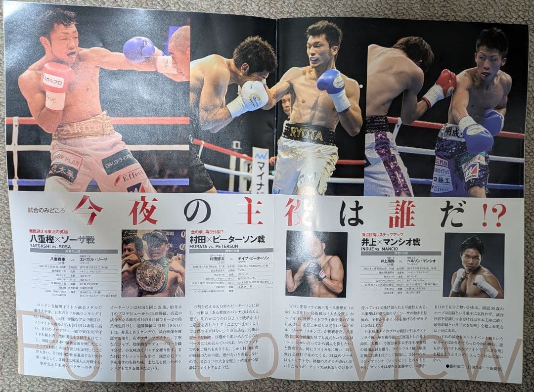 激レア非売品　ダイヤモンドグローブスペシャルパンフレット