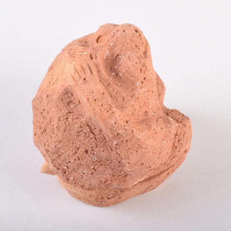 茶道具　佐々木昭楽作　一刀彫　猿　香合　共布共箱　C　8405