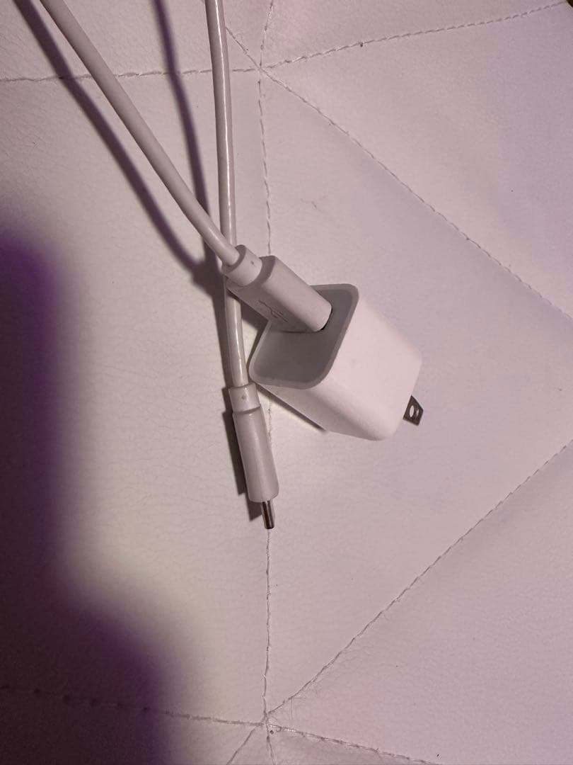 か*し様 iPhone15Pro本体＋純正充電器＋Apple純正イヤホン付き