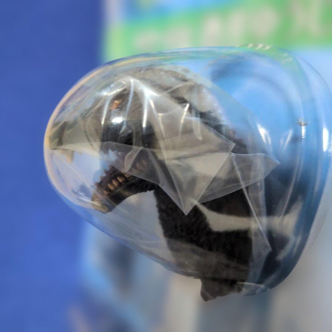 一番くじ A賞 ゴジラヘッドマグネット 全3種