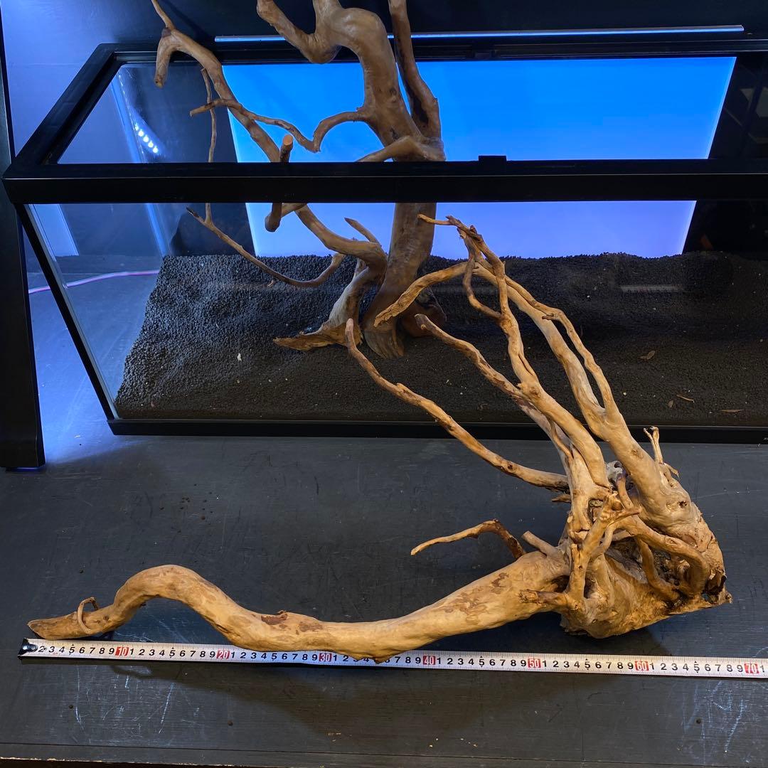 MDW-6358 ブランチウッド3本セット　90cm以上水槽用流木セット　枝流木