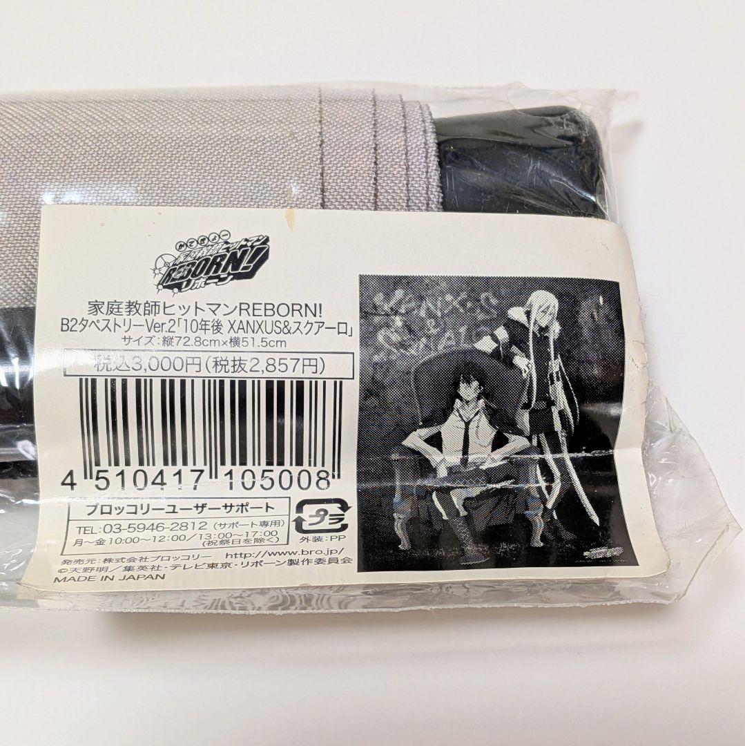 家庭教師ヒットマンREBORN!　タペストリー　XANXUS　スクアーロ　2本組