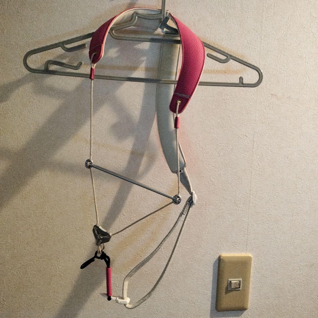 12/5限定値下げ！ブレステイキング☆サックスストラップ