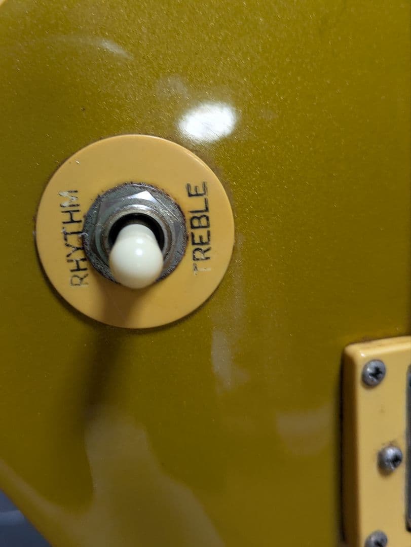 希少　DH Vamp Co ゴールドトップ　レスポール エレキギター 激レア