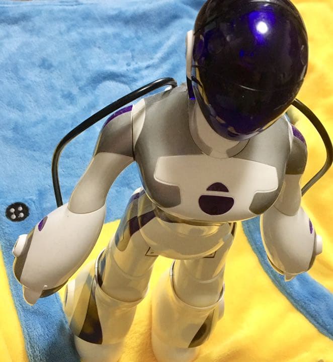 フェミサピエン