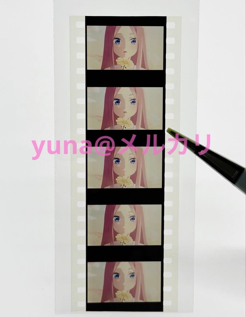 劇場版 映画五等分の花嫁 入場特典 セット 配布品 非売品