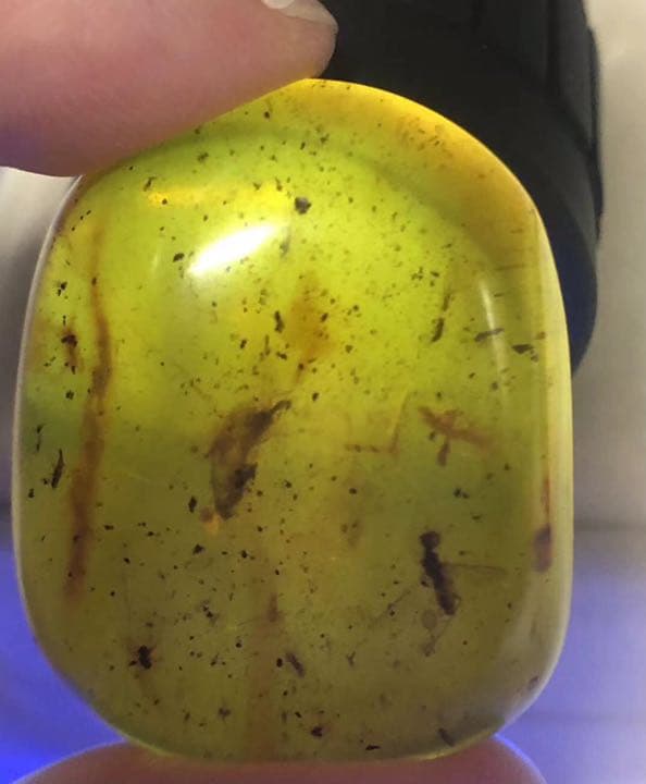 琥珀 虫入り アンバー  こはく 天然 ユニーク 天然石 虫入り プレゼント