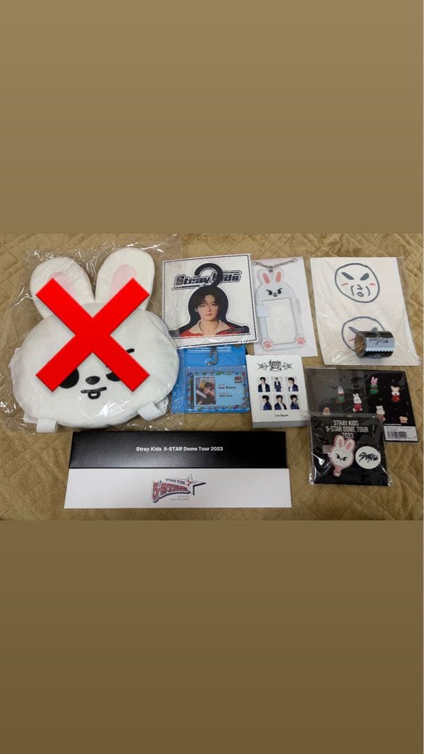 スキズ straykids リノ リービット まとめ売り